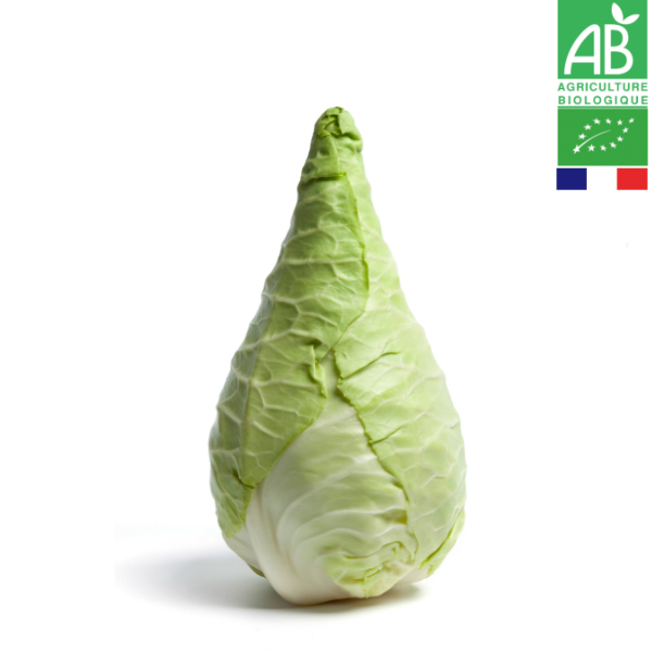 Haricots Blancs Soupe Chou Vert Lisse Haricots Blancs Soupe Chou